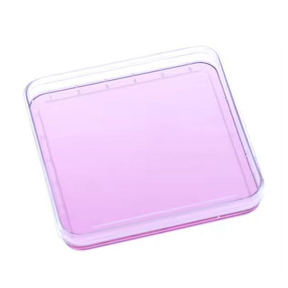 Plastic Square Petri Dish