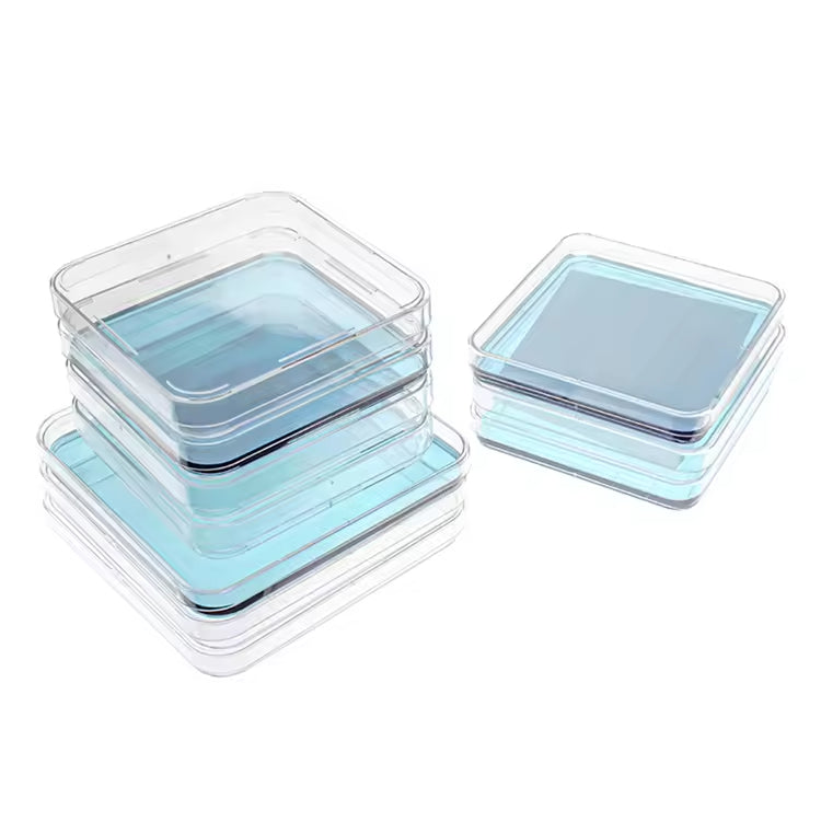 Plastic Square Petri Dish