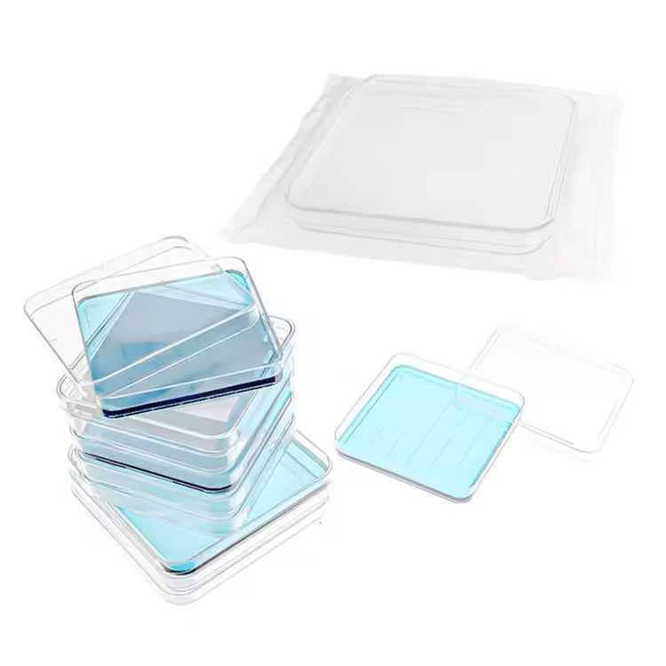 Plastic Square Petri Dish
