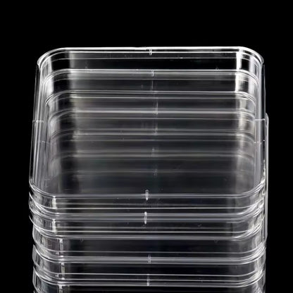 Plastic square petri dish