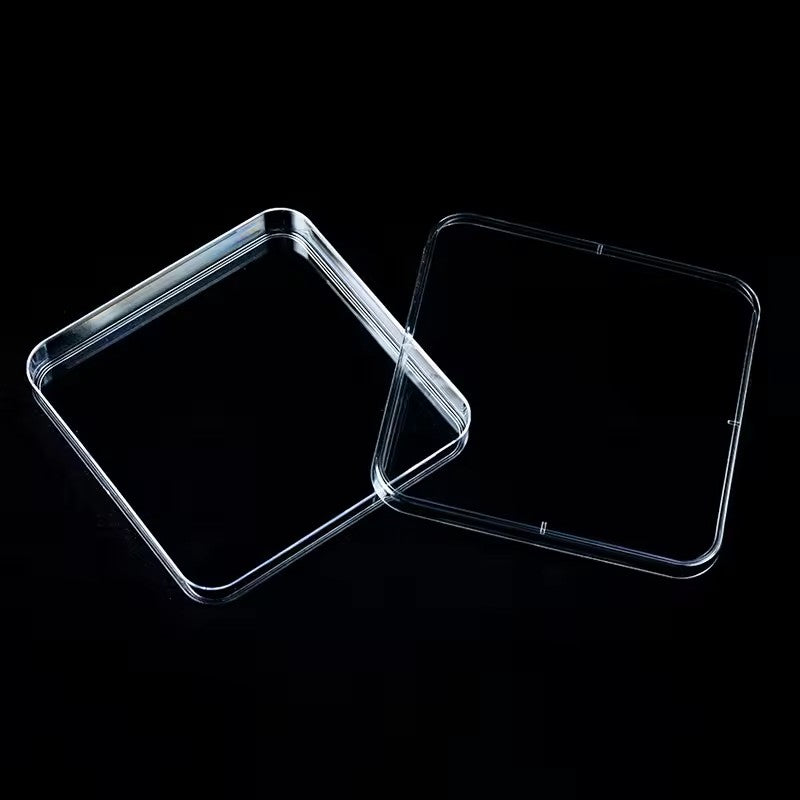 Plastic square petri dish