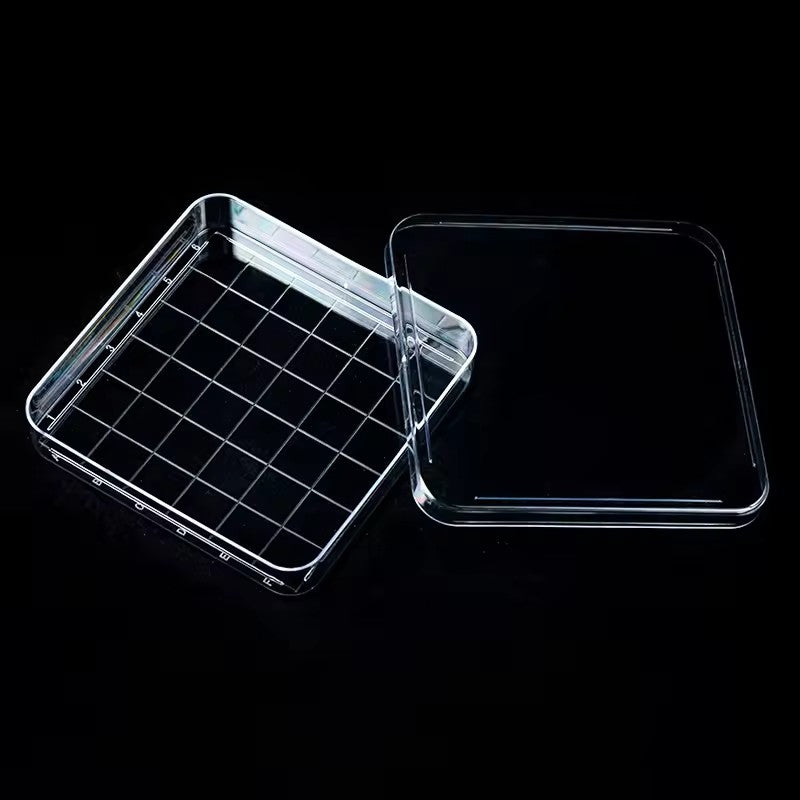 Plastic square petri dish