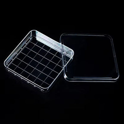 Plastic square petri dish