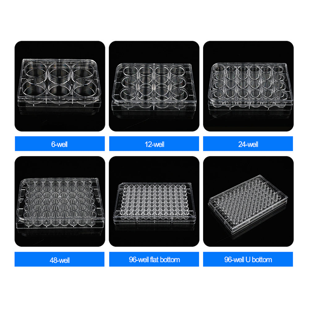 Cell culture plate