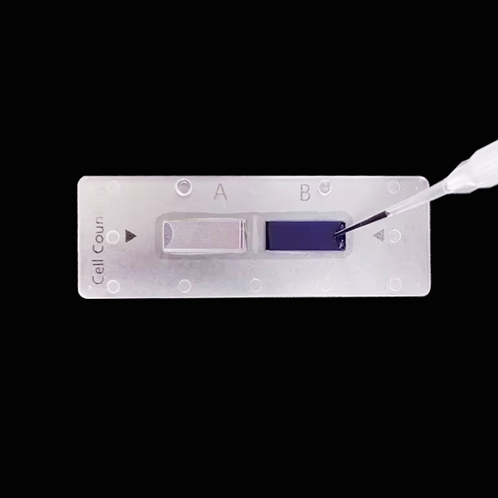 Two-chamber cell counting slide for Thermo Fisher(50 slides/box, 10 boxes/carton)